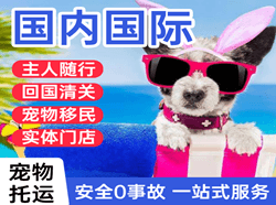 丽江三义航空空运国际宠物托运 【国